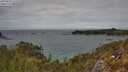 ./images/calvert/foggy-cove/20250510/foggy-cove20250510_142508M.jpg