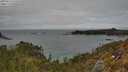 ./images/calvert/foggy-cove/20250510/foggy-cove20250510_143510M.jpg