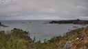 ./images/calvert/foggy-cove/20250510/foggy-cove20250510_150011M.jpg