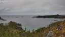 ./images/calvert/foggy-cove/20250510/foggy-cove20250510_152509M.jpg