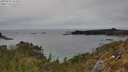 ./images/calvert/foggy-cove/20250510/foggy-cove20250510_153009M.jpg