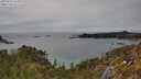 ./images/calvert/foggy-cove/20250510/foggy-cove20250510_153509M.jpg