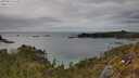 ./images/calvert/foggy-cove/20250510/foggy-cove20250510_162507M.jpg