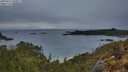 ./images/calvert/foggy-cove/20250511/foggy-cove20250511_060010M.jpg