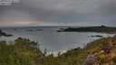 ./images/calvert/foggy-cove/20250511/foggy-cove20250511_061509M.jpg