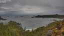 ./images/calvert/foggy-cove/20250511/foggy-cove20250511_082507M.jpg