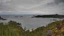 ./images/calvert/foggy-cove/20250511/foggy-cove20250511_093509M.jpg