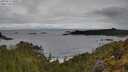 ./images/calvert/foggy-cove/20250511/foggy-cove20250511_100011M.jpg