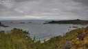 ./images/calvert/foggy-cove/20250511/foggy-cove20250511_101010M.jpg