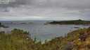 ./images/calvert/foggy-cove/20250511/foggy-cove20250511_102009M.jpg
