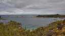 ./images/calvert/foggy-cove/20250511/foggy-cove20250511_103507M.jpg