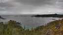 ./images/calvert/foggy-cove/20250511/foggy-cove20250511_115508M.jpg