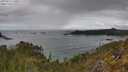 ./images/calvert/foggy-cove/20250511/foggy-cove20250511_120010M.jpg