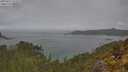 ./images/calvert/foggy-cove/20250511/foggy-cove20250511_123508M.jpg