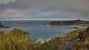 ./images/calvert/foggy-cove/20250512/foggy-cove20250512_083509M.jpg