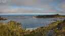 ./images/calvert/foggy-cove/20250512/foggy-cove20250512_084010M.jpg