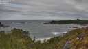 ./images/calvert/foggy-cove/20250513/foggy-cove20250513_094008M.jpg