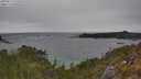 ./images/calvert/foggy-cove/20250513/foggy-cove20250513_132010M.jpg