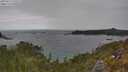 ./images/calvert/foggy-cove/20250513/foggy-cove20250513_135510M.jpg