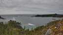 ./images/calvert/foggy-cove/20250513/foggy-cove20250513_163010M.jpg