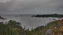 ./images/calvert/foggy-cove/20250514/foggy-cove20250514_192508M.jpg