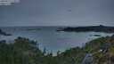 ./images/calvert/foggy-cove/20250514/foggy-cove20250514_213009M.jpg