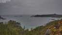 ./images/calvert/foggy-cove/20250515/foggy-cove20250515_060509M.jpg