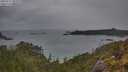 ./images/calvert/foggy-cove/20250515/foggy-cove20250515_062510M.jpg