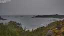 ./images/calvert/foggy-cove/20250515/foggy-cove20250515_075509M.jpg