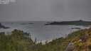 ./images/calvert/foggy-cove/20250515/foggy-cove20250515_081509M.jpg