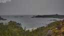 ./images/calvert/foggy-cove/20250515/foggy-cove20250515_090011M.jpg