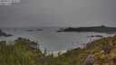 ./images/calvert/foggy-cove/20250515/foggy-cove20250515_092010M.jpg