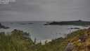 ./images/calvert/foggy-cove/20250515/foggy-cove20250515_094010M.jpg