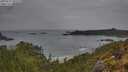 ./images/calvert/foggy-cove/20250515/foggy-cove20250515_095510M.jpg