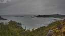 ./images/calvert/foggy-cove/20250515/foggy-cove20250515_100509M.jpg