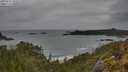 ./images/calvert/foggy-cove/20250515/foggy-cove20250515_103508M.jpg