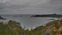 ./images/calvert/foggy-cove/20250515/foggy-cove20250515_104510M.jpg