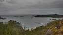 ./images/calvert/foggy-cove/20250515/foggy-cove20250515_105510M.jpg