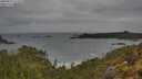 ./images/calvert/foggy-cove/20250515/foggy-cove20250515_111010M.jpg