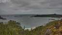 ./images/calvert/foggy-cove/20250515/foggy-cove20250515_112009M.jpg