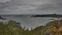 ./images/calvert/foggy-cove/20250515/foggy-cove20250515_112509M.jpg