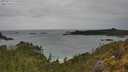 ./images/calvert/foggy-cove/20250515/foggy-cove20250515_115510M.jpg