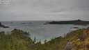 ./images/calvert/foggy-cove/20250515/foggy-cove20250515_121009M.jpg