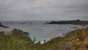 ./images/calvert/foggy-cove/20250515/foggy-cove20250515_121510M.jpg