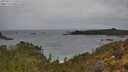 ./images/calvert/foggy-cove/20250515/foggy-cove20250515_122010M.jpg