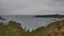 ./images/calvert/foggy-cove/20250515/foggy-cove20250515_123010M.jpg
