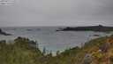 ./images/calvert/foggy-cove/20250515/foggy-cove20250515_124509M.jpg