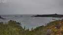 ./images/calvert/foggy-cove/20250515/foggy-cove20250515_132510M.jpg