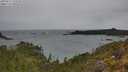 ./images/calvert/foggy-cove/20250515/foggy-cove20250515_133509M.jpg