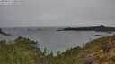 ./images/calvert/foggy-cove/20250515/foggy-cove20250515_134010M.jpg